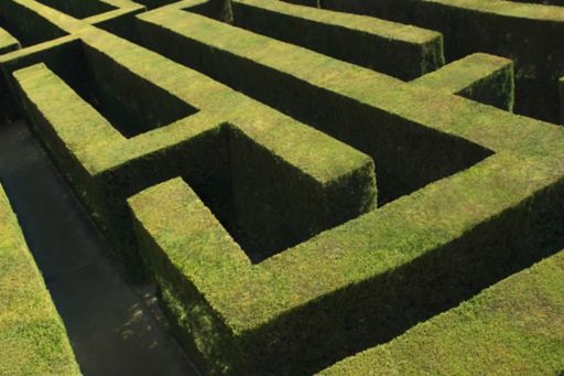 Hedge maze